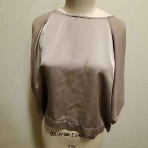 Gold Crop Sheer Blouse